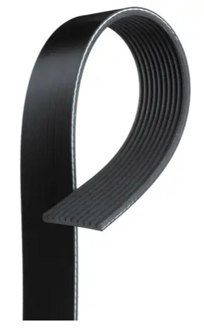 Serpentine  Fan Belt - 10 Rib