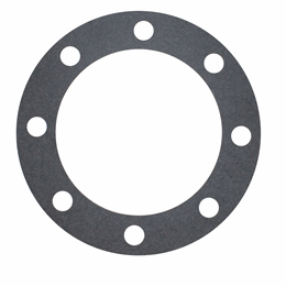 Newstar Hubcap Gasket