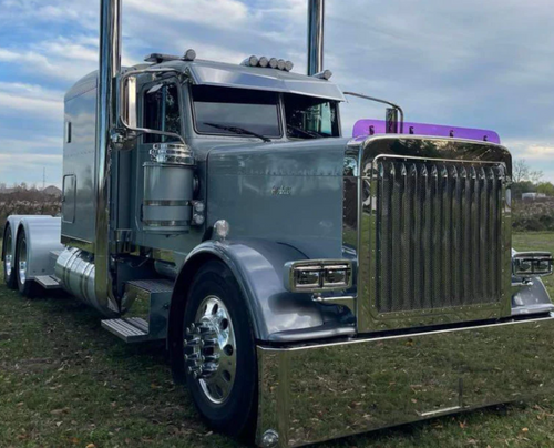 Dane Nelson Peterbilt 389 Bug Shield