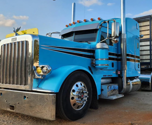 Dane Nelson Peterbilt 389 Bug Shield
