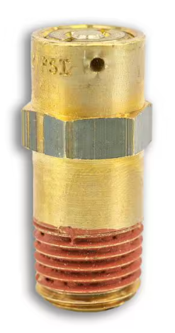 Bendix Safety Valve