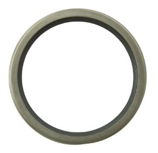 THERMOSTAT HOUSING SEAL, 186780, 131289