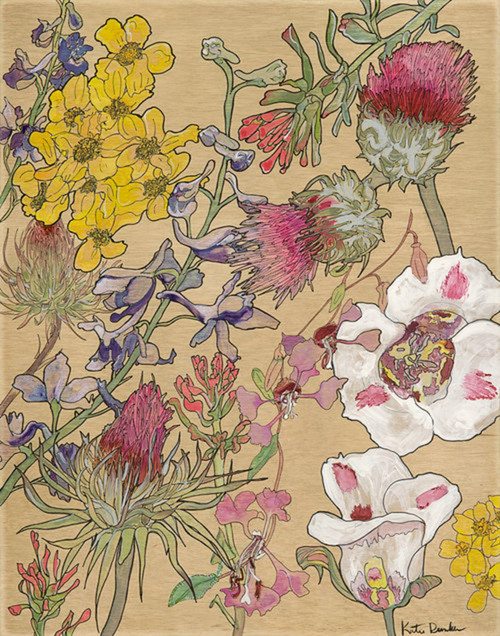 Wildflowers of Pinnacles National Park Print by Katie Chance + 11" x 14"