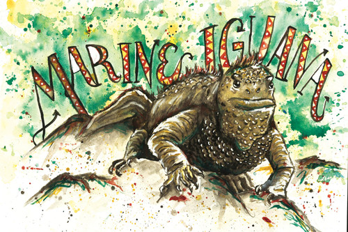 Endangered Species: Marine Iguana Print by Emily Tolipova of Where’d The Wild Things Go