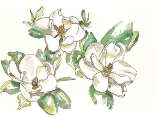 Magnolia Flowers Print by Katie Chance + 11"x14"