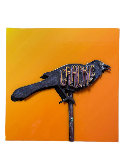 The Grackle is considered a "chill" bar on E. 6th St. in Downtown Austin. The signage is an ode to what seems to be the city's bird; a classic image against an ombre orange background.