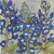 Baby Bluebonnets Print by Katie Chance