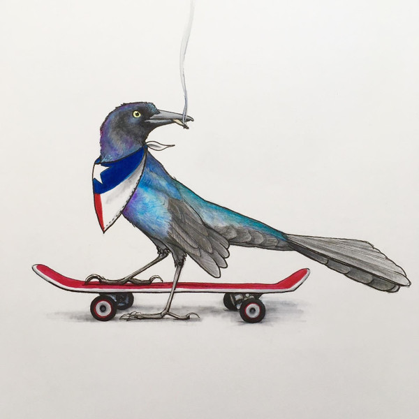 What's Grackin'? Print by Janis Fowler