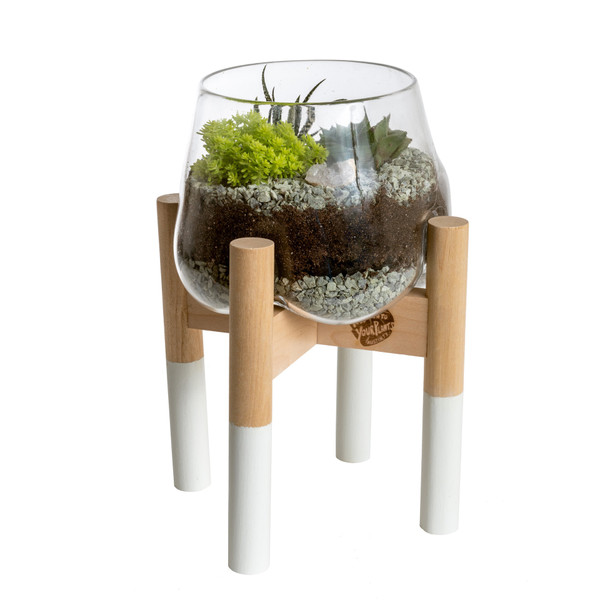 Clear Glass Terrarium with Black Accent on Plant Stand by Hold onto Your Plants & JFR Drinkware