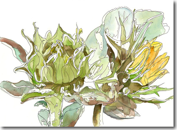 Sunflower Bloom Print- 11"x14" by Katie Chance