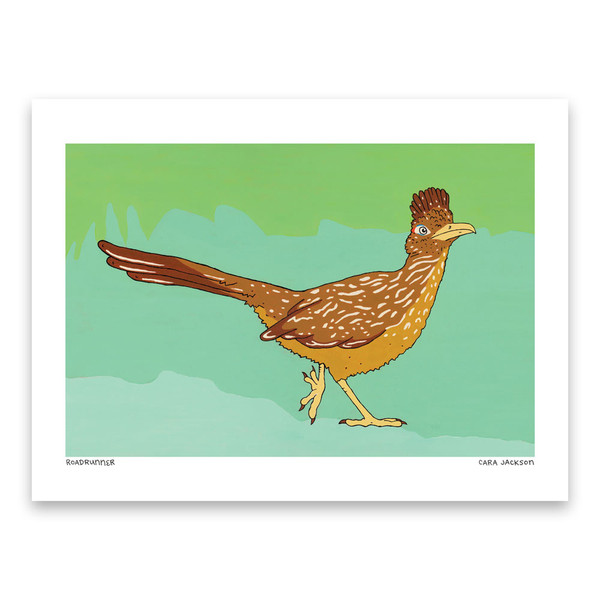 Roadrunner Print by Cara Jackson