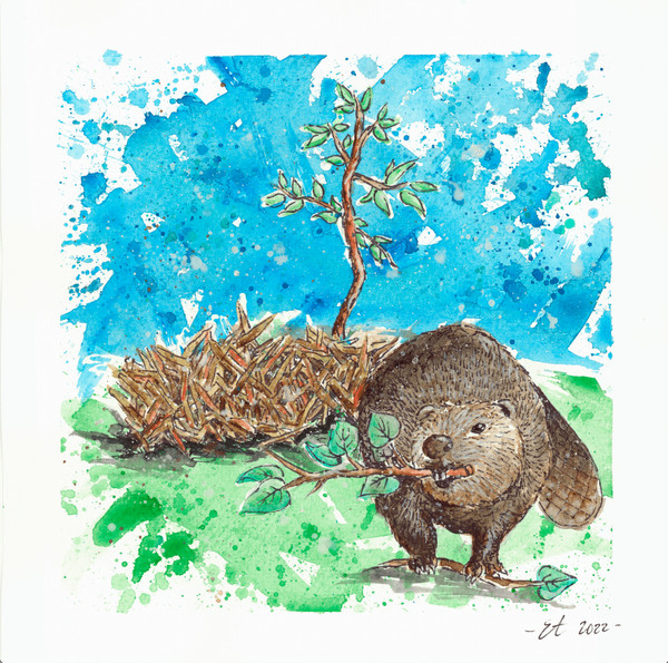 Our Planet Week - Beaver Print by Emily Tolipova of Where’d The Wild Things Go