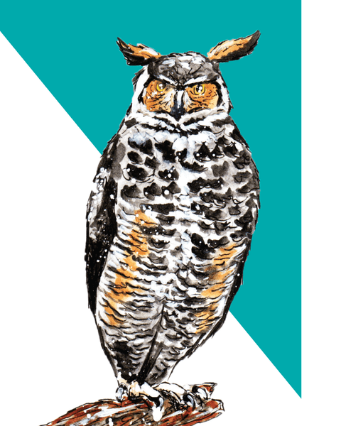 Great Horned Owl Print
Where’d The Wild Things Go
Emily Tolipova
10”h x 8”w Premium matte paper
