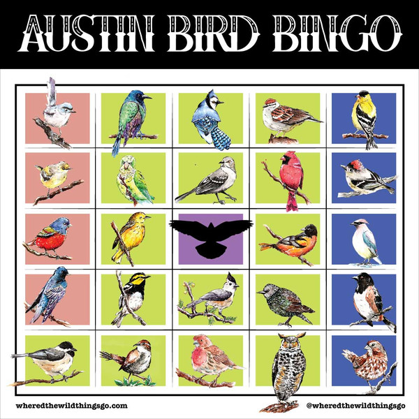 The Bird Bingo card is a playful yet educational tool jam packed with information. It encourages locals and visitors to explore Austin in a unique way while learning about its rich bird biodiversity.