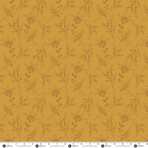Secret Stash Favorites - Amber Spruce Amber