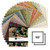 Practical Magic - 10 Inch Square - 42 Cuts Each