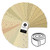 Providence Shirtings - 2.5 Inch Strip Roll - 40 Cuts Each