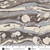 Prehistoric by Makower UK Strata Grey