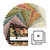Practical Magic - 5 Inch Square - 42 Cuts Each
