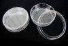 Petri Dishes, 60mm (Pack of 20)