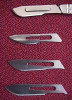Scalpel and Blade Set (for Heavier Dissections)
