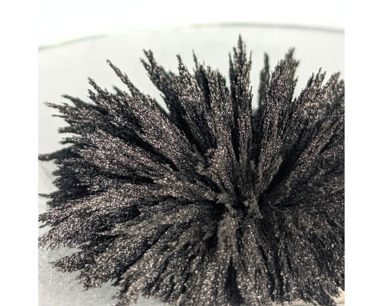 Particles of iron powder naturally reposition in a magnetic field and reveal the direction of magnetic forces