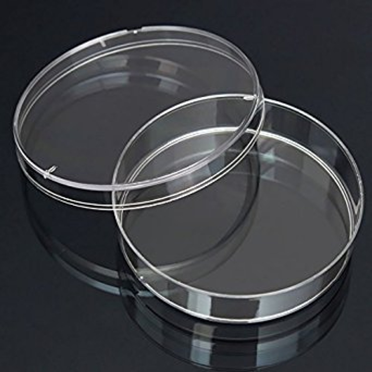 Petri Dishes with lid, Clear PolyStyrene (100x15 mm, Pack of 20)