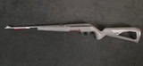 Winchester Xpert .22lr 18"