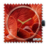 Warm Colours for the colder Season