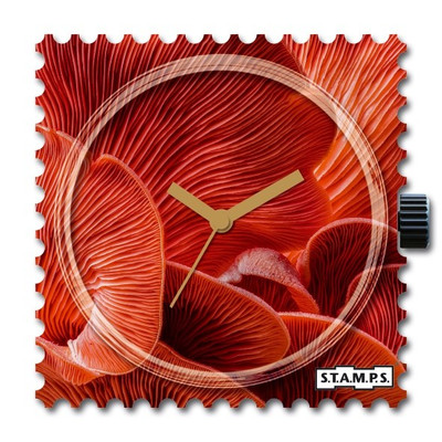 Warm Colours for the colder Season