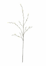 White Pussy Willow, 52"