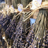 Dried Blue Lavender Bouquet