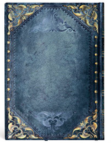 Peacock Punk Hardcover Midi Unlined Journal
