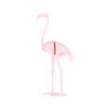 Flamingo, Small