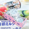 UHA Tokuno 8.2 Milk Candy Red Bean | 味覺糖 特濃牛奶糖 條裝 紅豆味 37g