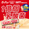 UHA Puccho Stick Candy Probiotic Yogurt Flavor| 味覺糖 乳酸菌飲品味果肉條裝軟糖 50g 10Pcs [日本限定]