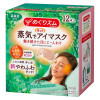 KAO MegRhythm Gentle Steam Eye Mask Forest Shower 花王 蒸氣眼罩 森林沐浴香 12 Sheets/Box
