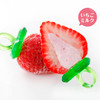 KOKUBO deLijoy Ring of Strawberry 日本小久保 水果戒指點心製作