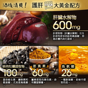 FINE Clam Extract with Liver Hydrolysate Oyster & Turmeric Premium | FINE 金裝姜黃解酒護肝精華軟膠囊 90's