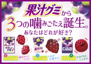 MEIJI Juice Gummy Elasticity Plus Grape | 明治 果汁軟糖 彈力葡萄味 72g