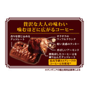 Shoei Delicy Crunch Chocolate Rich Coffee Flavor 正榮 鬆脆朱古力 咖啡味 12pcs [Best Before Date AUG 31, 2022]