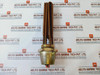 220/380 V 2500 W Heater Element