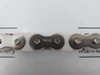 Regina Ssa50 Roller And Conveyor Chain   - New