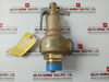 https://cdn.shopify.com/s/files/1/0669/6304/6659/files/Apollo19Khhk45SafetyValve45PsiSafetyRelief2Size2-176206_5.jpg?v=1756961387