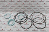 Nov 154192 Seal Kit For Crown Mounted Compensator Cmc-t6462