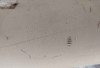 Aker 10029094 Riser Container Rev: 00