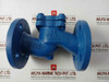 Gjl250 Lift Check Valve Pn 16
