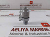 Stauff Test-20 Test Coupling G 1/4-c 182-1295
