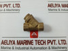 Pn 30 Dn 10 Brass Y-strainer