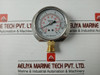Grainger Kl.1.6 Pressure Gauge -76-11 Bar/Psi L/F